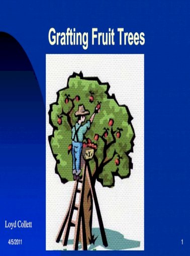 Štepenie ovocného stromu pdf