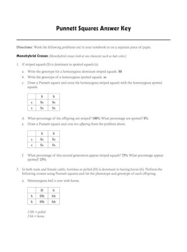 Featured image of post Answer Key Punnett Square Worksheet