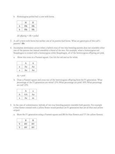 Answer Key Punnett Squares Worksheet Punnett Squares Answer Key C Draw A Punnett Square And Pdf Document