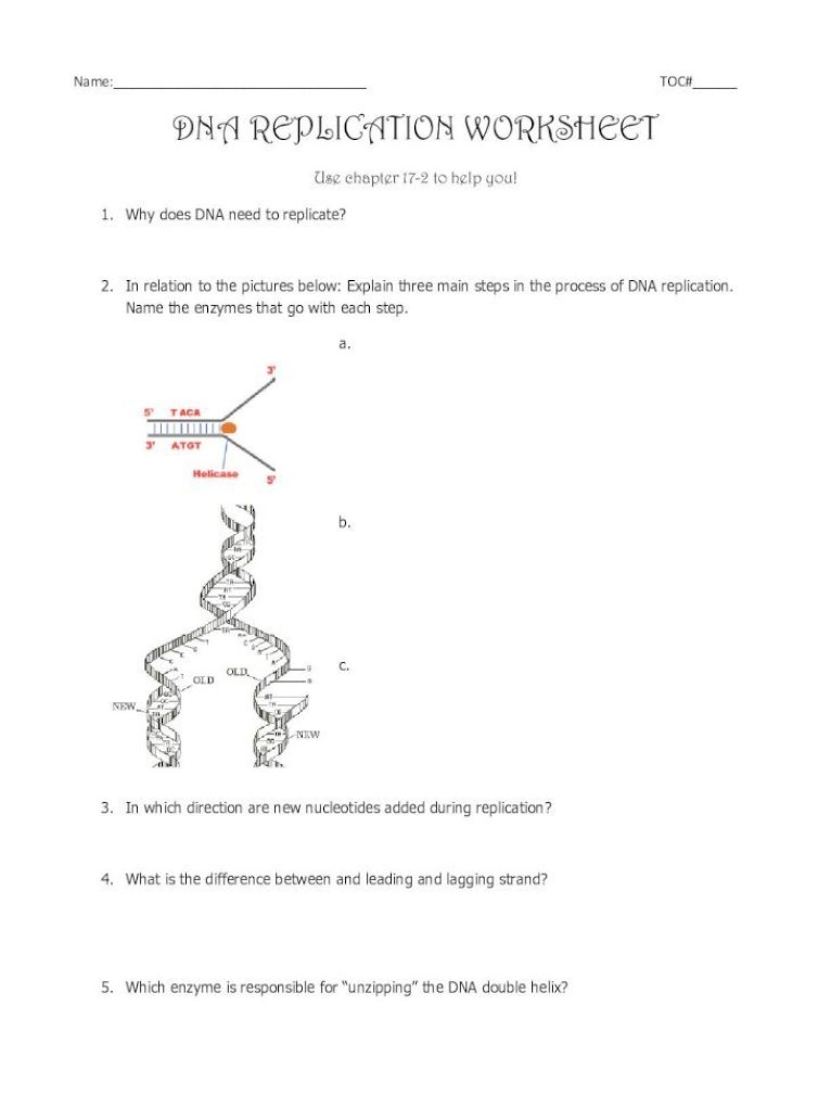DNA REPLICATION WORKSHEET - Tamalpais Union .11-11-11 · DNA In Dna Structure Worksheet Answer