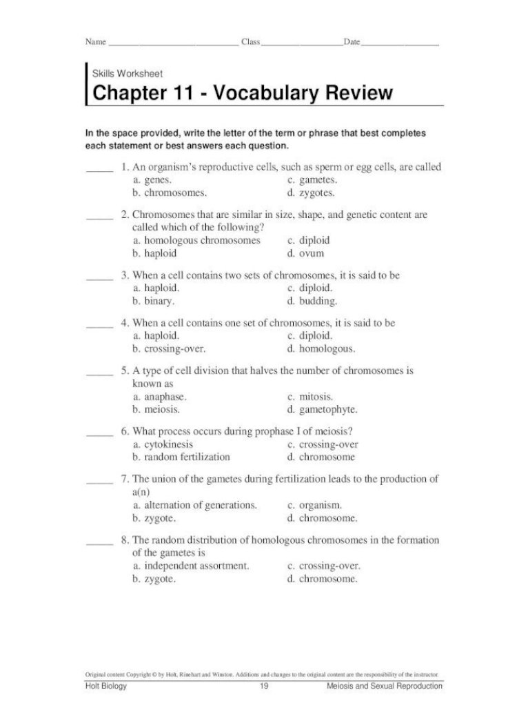 Skills Worksheet Chapter 11 Concept Holt Biology 19 Meiosis And Sexual Reproduction Skills Worksheet Chapter 11 Vocabulary Review 10 Individual Pdf Document