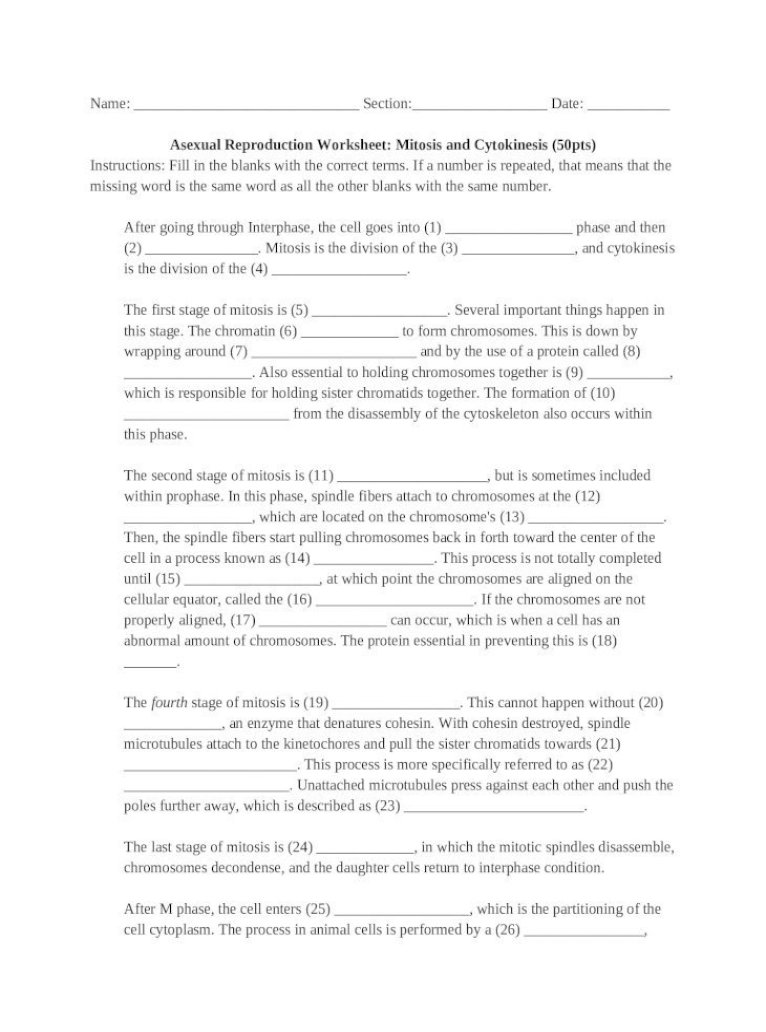 Asexual Reproduction Mitosis And Cytokinesis Worksheet Doc Document