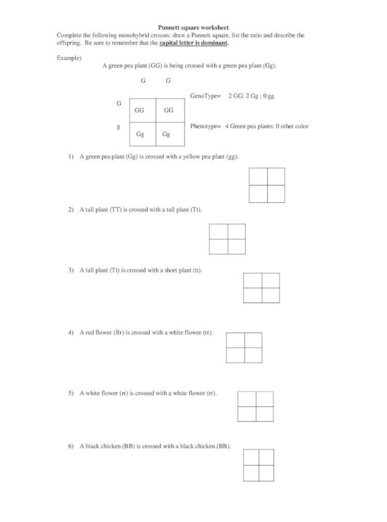 Punnett square worksheet - ??Punnett square worksheet Complete the For Punnett Square Practice Worksheet Answers